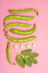 Flat lay food concept with fresh green ripe bread beans copy space close up isolated on pink background