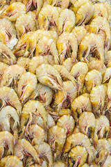 Fresh shrimps in market