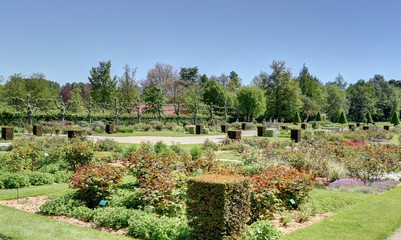 Fototapeta na wymiar Jardin paysagé arboré, potager et topiaire