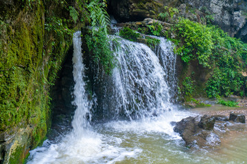 A stream waterfall in a forest in the mountains