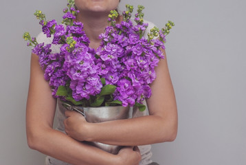 Young Girl Women Hands Holding Mathiola Purple Flowers Spring, Easter or Gardening Concept. Gray Wall