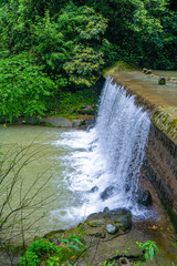 A stream waterfall in a forest in the mountains