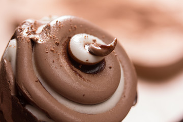 Creamy chocolate ice cream closeup