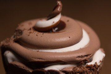 Creamy chocolate ice cream closeup