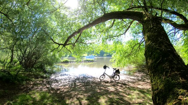 Mainufer mit Auwald und Fahrrad, Mainradweg, Slow Tourism, Ruhepause am Ufer, 4K