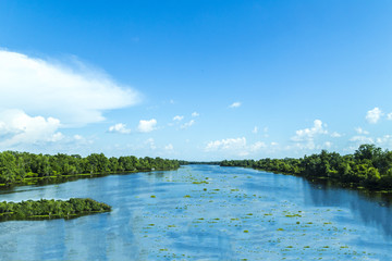 Blick auf den Mississippi mit seinem breiten Flussbett und unberührter Natur