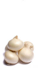 Food concept on white background, group of white onions close up copy space isolated