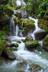 A stream waterfall in a forest in the mountains