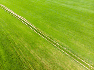 aerial view of green field with trail path trough it