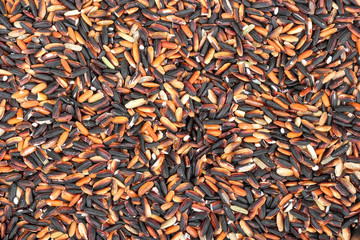 Raw wild rice