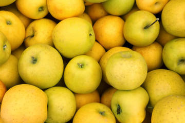 apple golden background