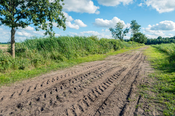 Colorful rural landscape with a sand road diagonally in the picture