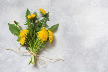 Bouquet of fresh yellow dandelion on light background. Copy space. Top view. © svetlana_cherruty
