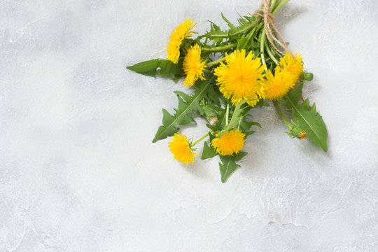 Fototapeta Bouquet of fresh yellow dandelion on light background. Copy space .Top view.
