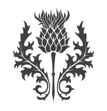 thistle, heraldic symbol of Scotland