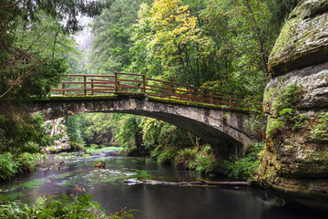 Old bridge in the forest at the rocks