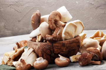 variety of raw mushrooms on grey table. oyster and other fresh mushrooms