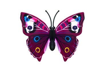 Beautiful colored butterfly