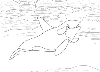 Killer whale swimming among drifting ice floes in a polar sea, black and white vector illustration in a cartoon style for a coloring book © Alexey Bannykh