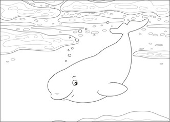 Beluga whale swimming among drifting ice floes in a polar sea, black and white vector illustration in a cartoon style for a coloring book © Alexey Bannykh