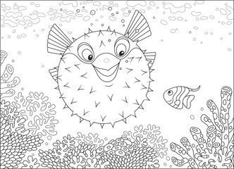 Exotic puffer fish and a butterflyfish swimming among corals on a reef in a tropical sea, black and white vector illustration in a cartoon style for a coloring book © Alexey Bannykh