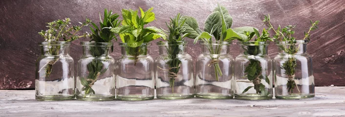 Crédence de cuisine en verre imprimé Aromatique bunch of garden fresh herbs on grey board.