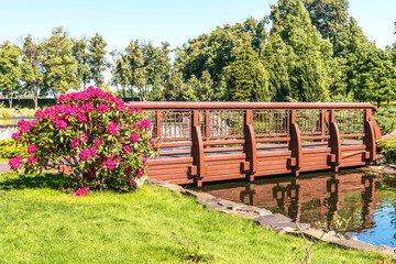 Fototapeta premium A small bridge across the lake in Mezhigirya Park near Kiev. The flowering bush of the rhododendron, a fragment of the lake and beautiful vegetation on the shore.