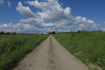 strada di campagna