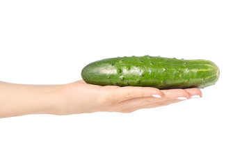 Cucumber in a hand on a white background isolation