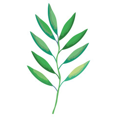 Fototapeta premium branch with leafs decorative icon vector illustration design