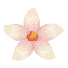 beautiful flower decorative icon vector illustration design