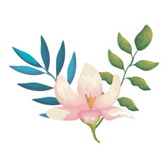 flower and leafs decorative icon vector illustration design