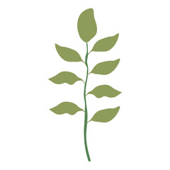 Fototapeta premium branch with leafs decorative design