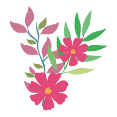 flower and leafs decorative icon vector illustration design