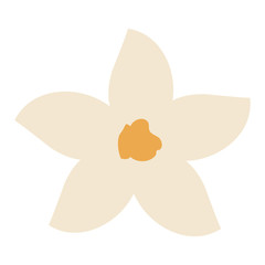 beautiful flower decorative icon vector illustration design