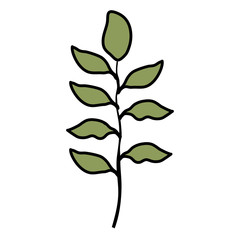 branch with leafs decorative icon vector illustration design