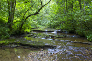 Gauchach Gorge, Black Forest, Germany