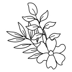Obraz premium flower and leafs decorative icon vector illustration design