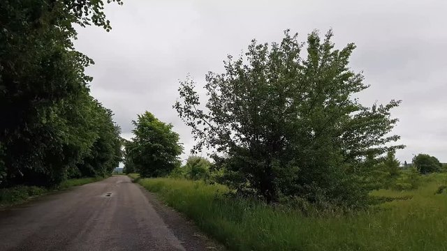 Driving down an old country road during spring summer. Old asphalt road driving in the forest. Point-of-view driving. Road through tree forest and lawn.