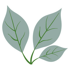 branch with leafs decorative design