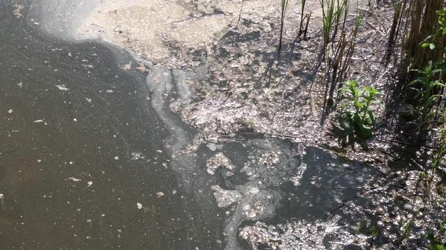 Environmental pollution of the environment