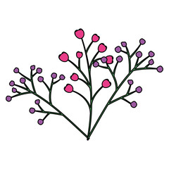 branch with seeds natural icon vector illustration design