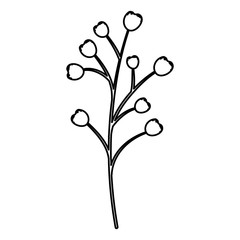 branch with seeds natural icon vector illustration design