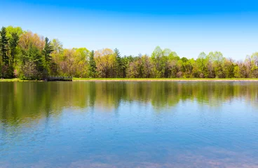 Tuinposter Beautiful lake with forest reflection on sunny spring day. © volgariver