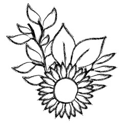 flower and leafs decorative icon vector illustration design