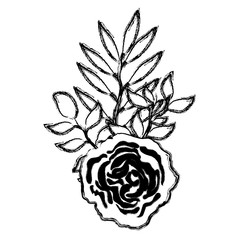 rose and leafs decorative icon vector illustration design