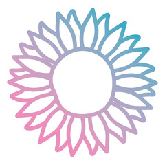 beautiful flower decorative icon vector illustration design