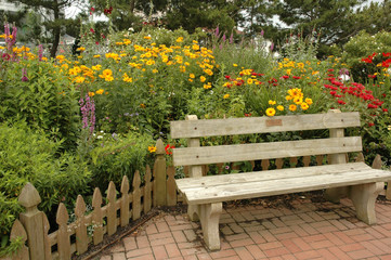 Bench and Wildflowers