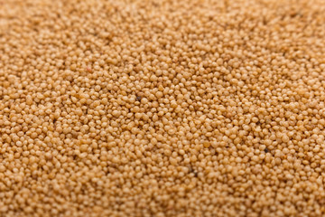 fresh amaranth grains on a rustic background