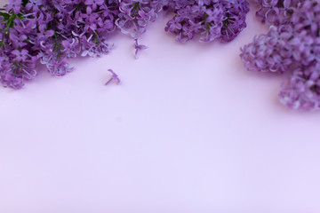 Beautiful floral border with lilacs. With copy-space.